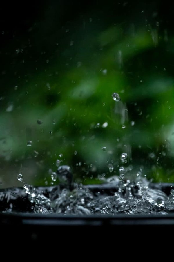 Quelle est la meilleure façon de collecter et réutiliser l'eau de pluie dans les climats arides ?